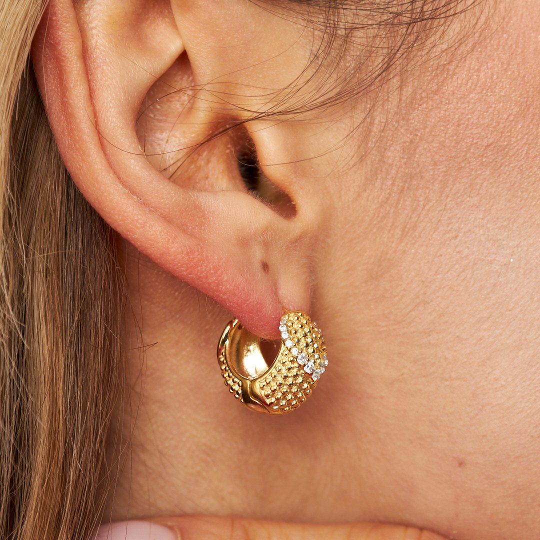 Zircon Stone Design Earrings - 925 SILVER