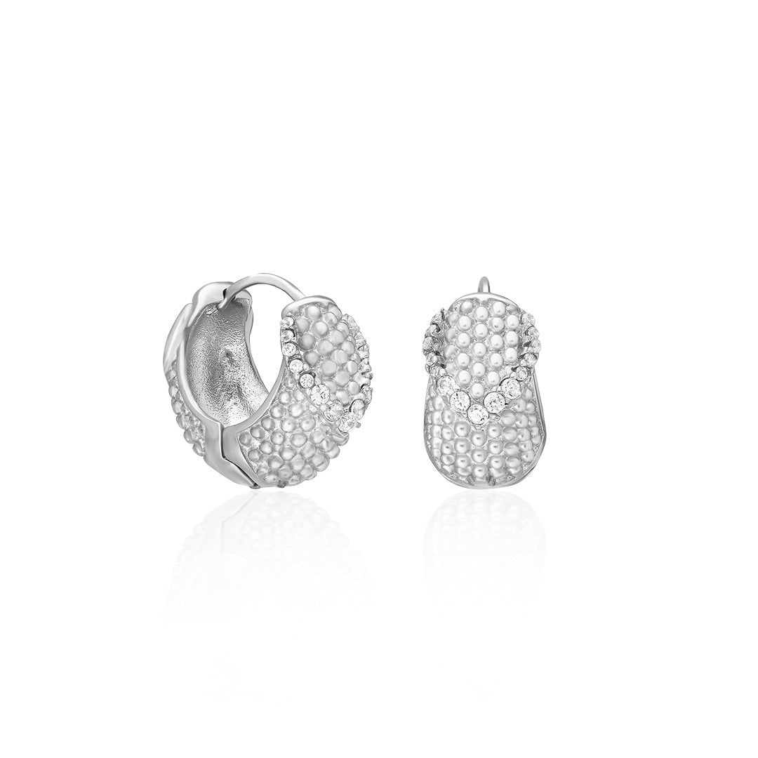 Zircon Stone Design Earrings - 925 SILVER