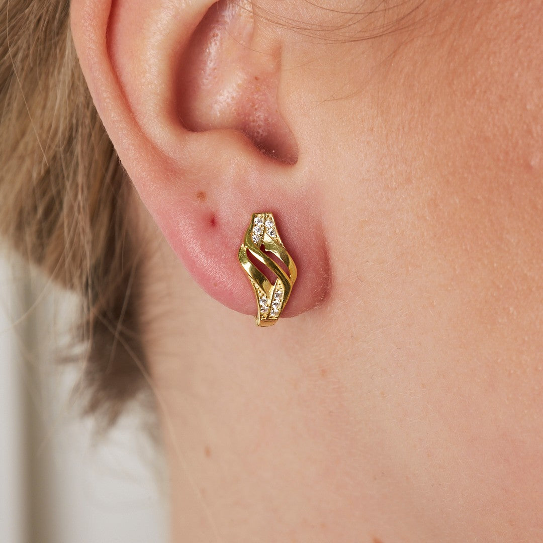 Passion Earrings with Stones - 925 Silver