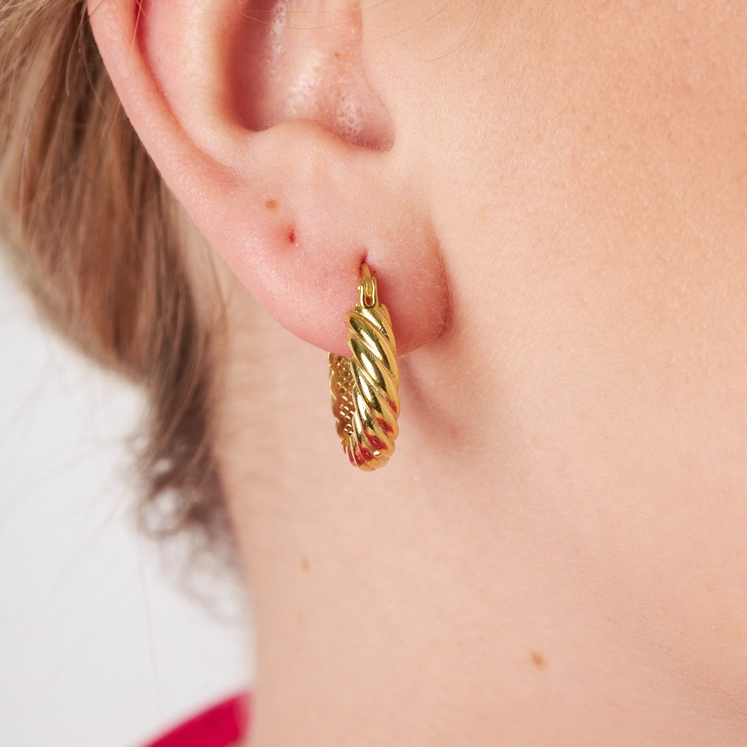 Twisted Hoop Earrings - 925 Silver