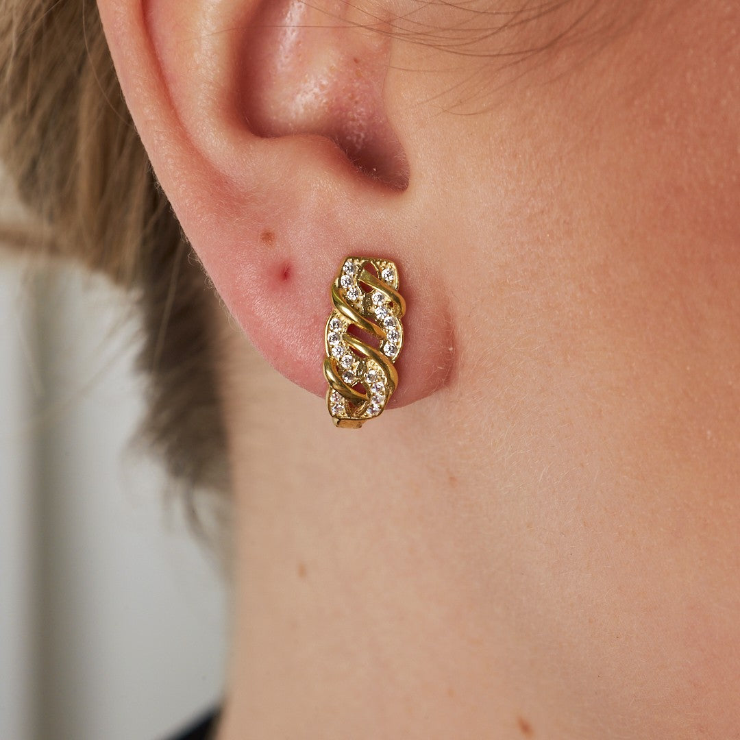 Ivy Model Stone Earrings - 925 SILVER